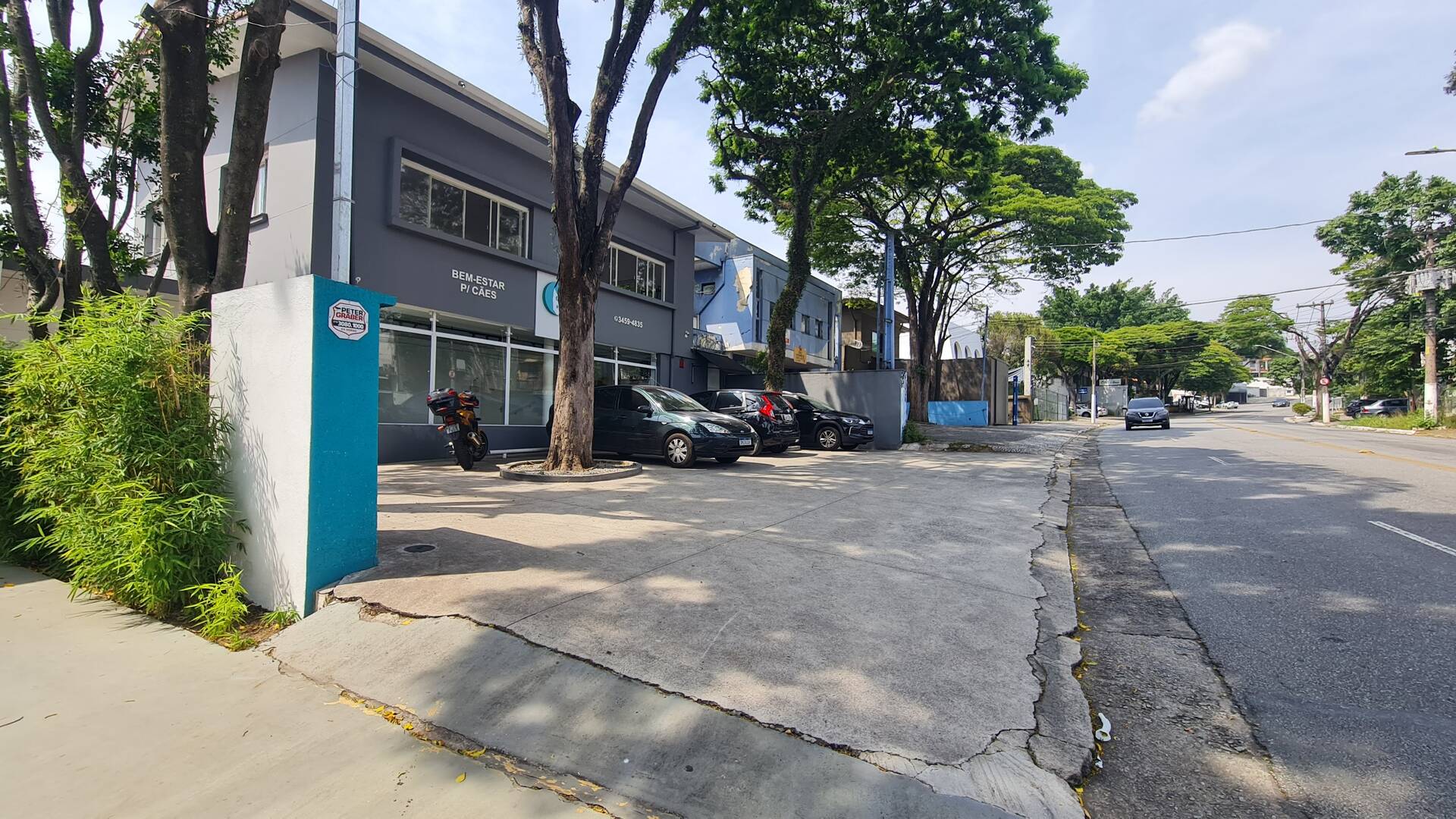Prédio Inteiro para alugar, 226m² - Foto 5